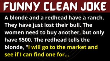 Funny Joke: A Blonde & a Redhead Needs to Buy a Bull