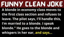 Funny Joke: A Blonde In First Class Section