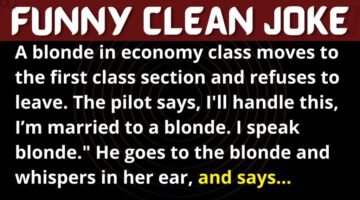 Funny Joke: A Blonde In First Class Section