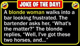Funny Joke: Blonde’s Horses