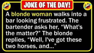 Funny Joke: Blonde’s Horses