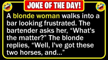 Funny Joke: Blonde’s Horses