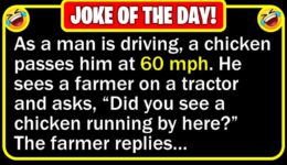Funny Joke: Fast Chicken