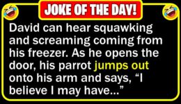 Funny Joke: New Parrot