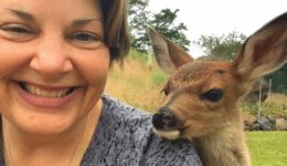 Lone baby deer asked a family for help. Their response might surprise you.