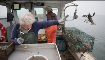 Meet the Famous 102-Year-Old “Lobster Lady” Still Going Strong in Maine