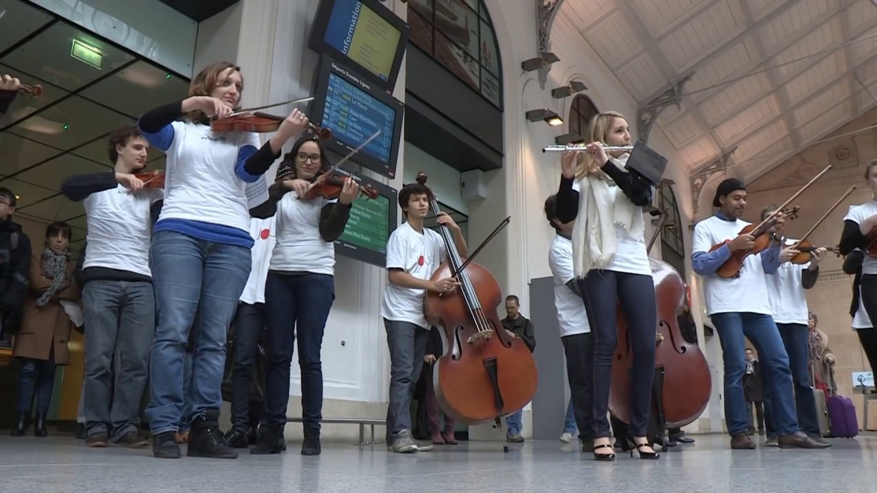 Surprise Classical Music Flash Mob in France