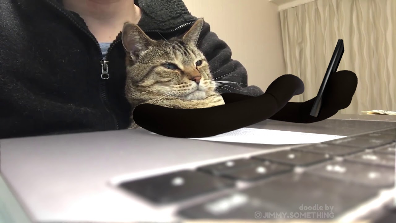 Cat Working From Home