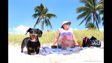 Crusoe’s Dog-Friendly Florida Vacation