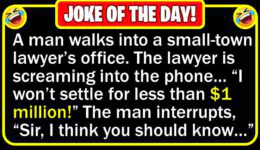 Funny Joke: Big Time Lawyer