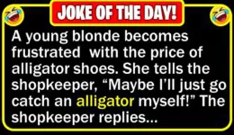 Funny Joke: Blonde Alligator Shoes