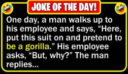 Funny Joke: New Gorilla