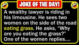 Funny Joke: Nice Lawyer