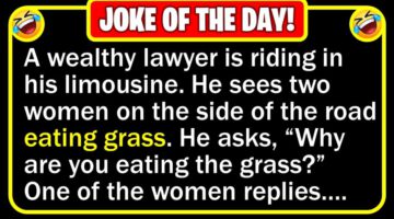 Funny Joke: Nice Lawyer
