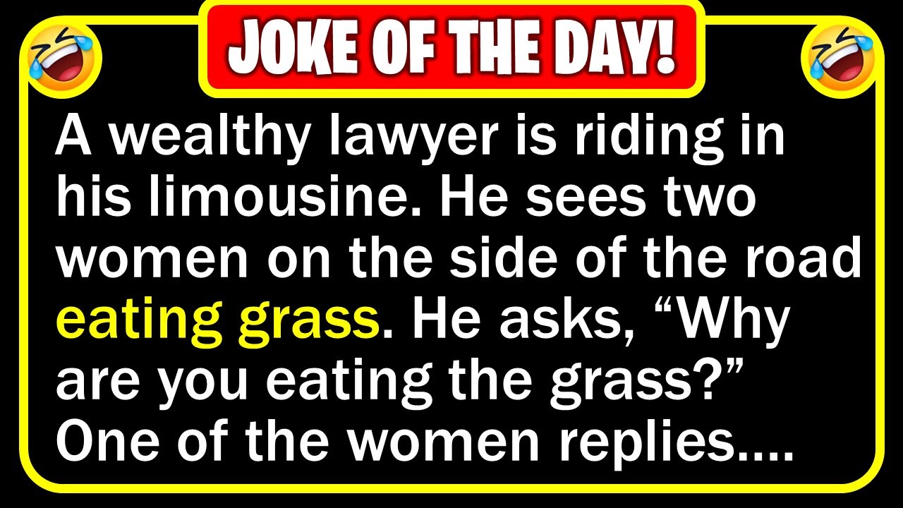 Funny Joke: Nice Lawyer