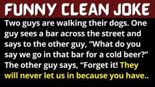 Funny Joke: Seeing Eye Dog