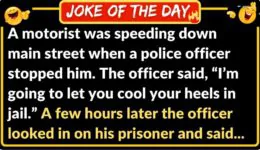 Funny Joke: Speeding Motorist