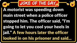 Funny Joke: Speeding Motorist