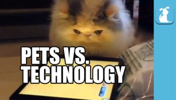 Pets Vs. Technology