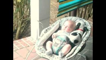 Pit Bull Puppy Cuddles with Baby