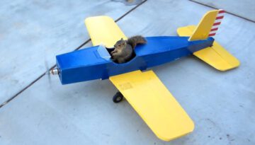 Unbelievable Squirrel Steals Airplane