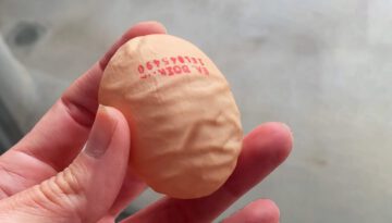 A Really Wrinkly Egg