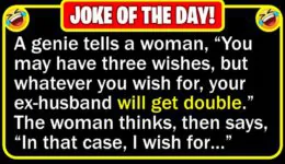 Funny Joke: 3 Wishes for a Divorced Woman
