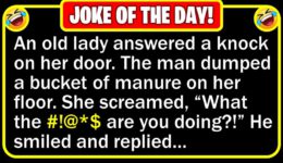 Funny Joke: Vacuum Salesman