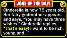 Funny Joke: Cinderella in Old Age