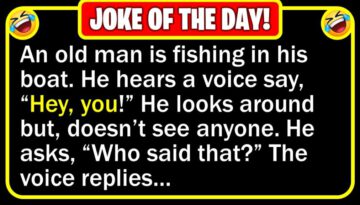 Funny Joke: Talking Frog