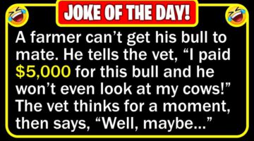 Funny Joke: Virile Bull