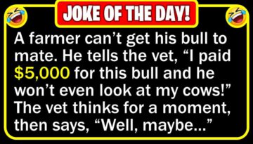 Funny Joke: Virile Bull