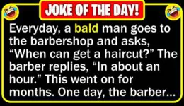 Funny Jokes: Barber Visit & Good Genes