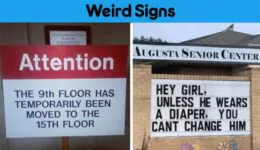 Funny, Stupid, and Weird Signs You Have to See