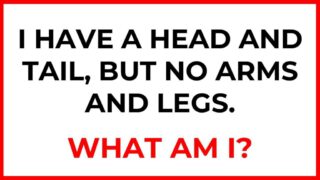 20 Challenging Riddles: Test Your Genius!