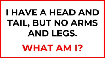 20 Challenging Riddles: Test Your Genius!