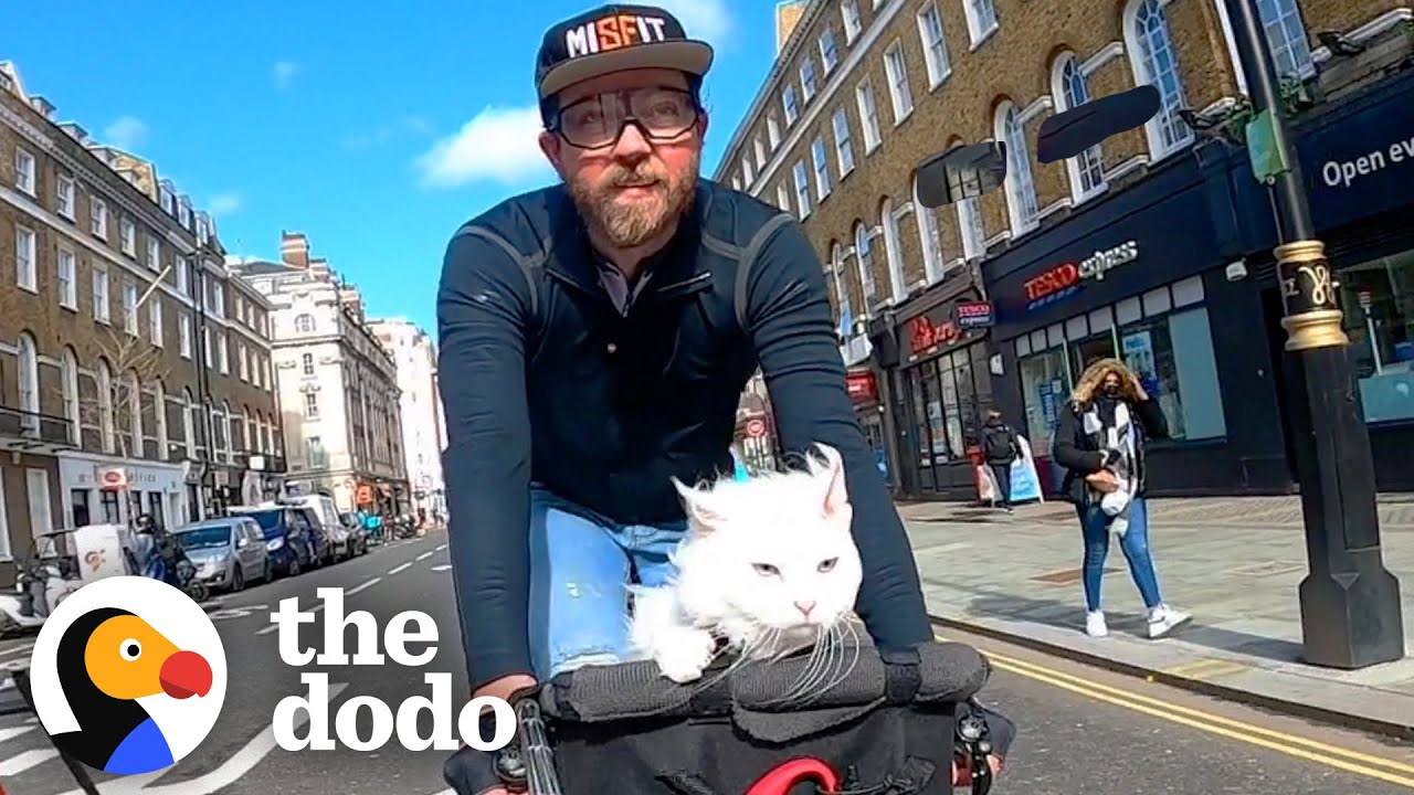 Adventures of a Deaf Cat: Daily Bike Rides Around London with Dad