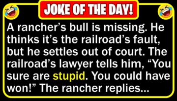 Funny Joke: Big City Lawyer