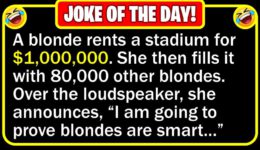 Funny Joke: Blonde Test