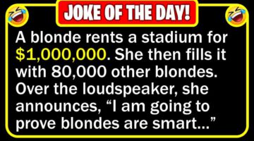 Funny Joke: Blonde Test