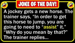Funny Joke: Horse Race