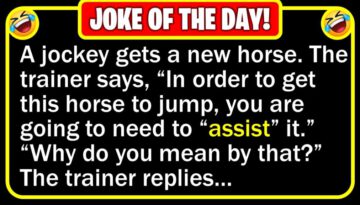 Funny Joke: Horse Race