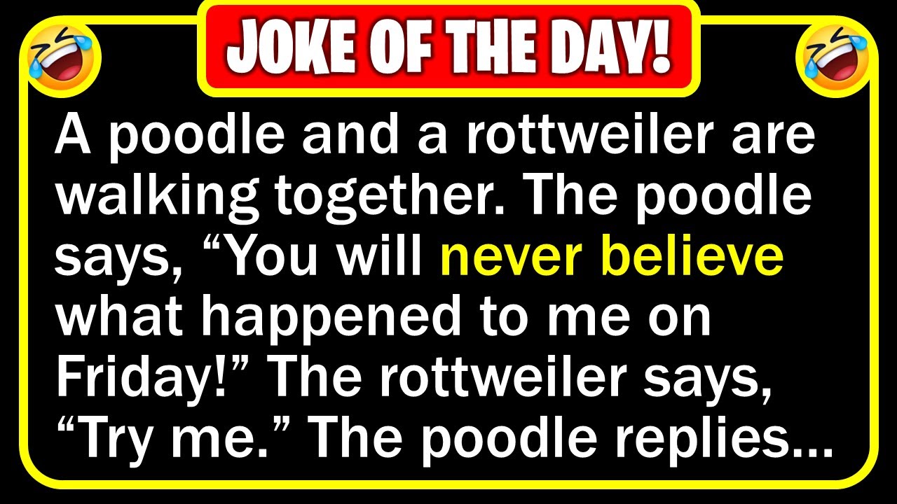 Funny Joke: Poodle Trouble