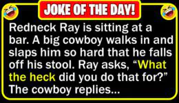 Funny Joke: Redneck Lesson