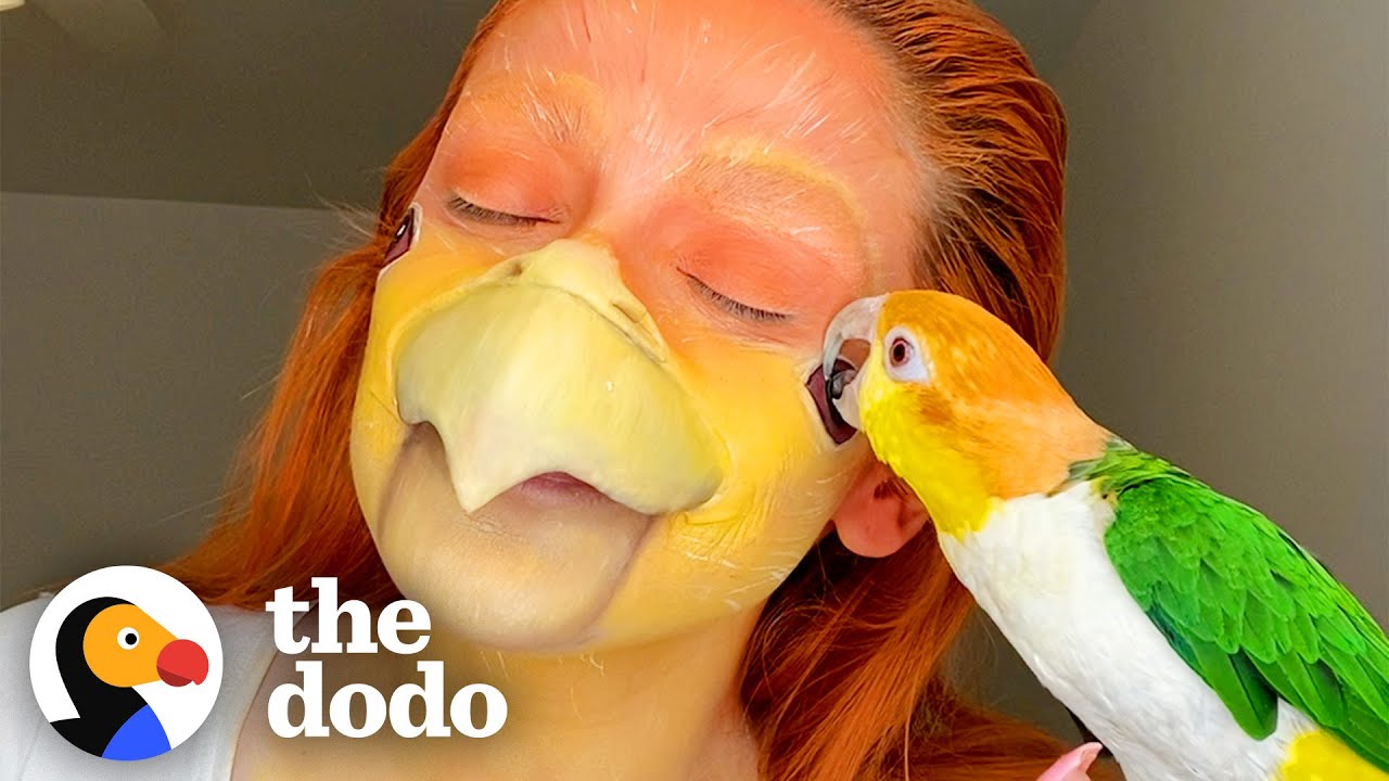 You won’t believe what this needy bird does when he hears the shower running!