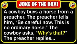Funny Joke: Religious Horse