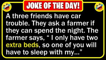 Funny Joke: Sleeping in the Barn