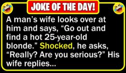 Funny Joke: Wife Agreement