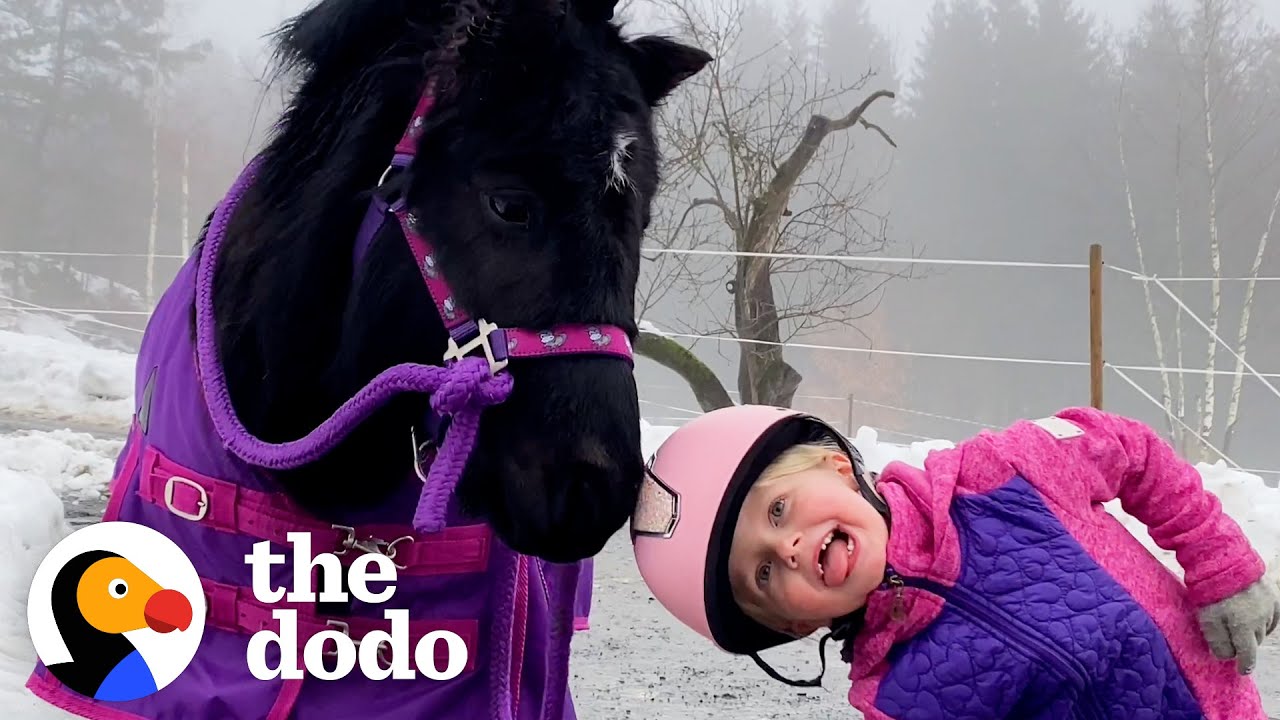 Girl and Her Mini Pony BFF Do Everything Together