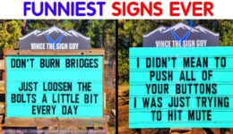Hilarious Signs Put Up In Colorado, And The Puns Are Priceless